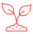 05 Plant min
