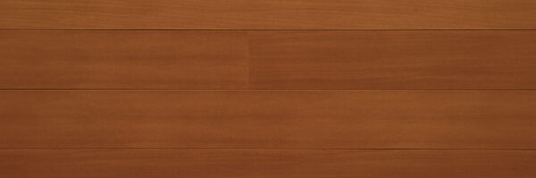Cedar Cedar